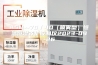ASM--70／40（喷雾型）恒温恒湿养护控制仪2023-09-26