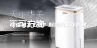 除湿机怎么选？除湿机工作原理