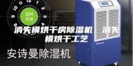消失模烘干房除湿机，消失模烘干工艺