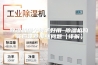除湿机哪个牌子好用 除湿机购买应注意那些问题【详解】