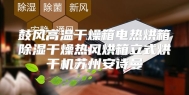 鼓风高温干燥箱电热烘箱除湿干燥热风烘箱立式烘干机苏州安诗曼