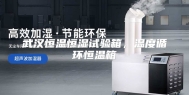 武汉恒温恒湿试验箱，温度循环恒温箱