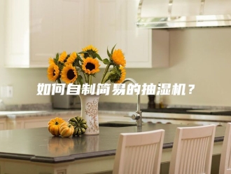 企业新闻如何自制简易的抽湿机？