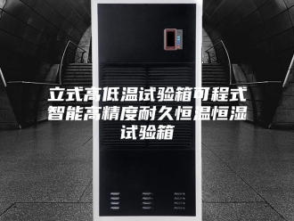常见问题立式高低温试验箱可程式智能高精度耐久恒温恒湿试验箱