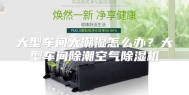 大型车间太潮湿怎么办？大型车间除潮空气除湿机
