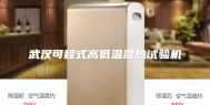 武汉可程式高低温湿热试验机