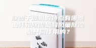 除湿干燥机的特点有哪些由转轮除湿机和风巢除湿机共同作用的？