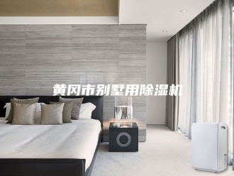 企业新闻黄冈市别墅用除湿机