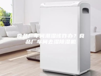 企业新闻食品厂车间潮湿该咋办？食品厂车间去湿除湿机