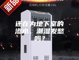 知识百科还在为地下室的渗水、潮湿发愁吗？