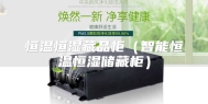 恒温恒湿藏品柜（智能恒温恒湿储藏柜）