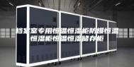 档案室专用恒温恒湿柜防爆恒温恒湿柜恒温恒湿储存柜