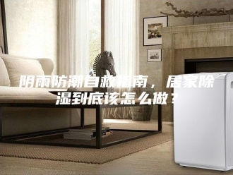 知识百科阴雨防潮自救指南，居家除湿到底该怎么做？
