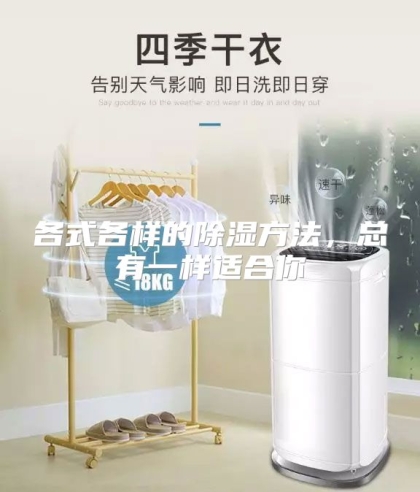 各式各样的除湿方法，总有一样适合你