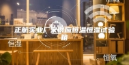 正航实业厂家供应恒温恒湿试验箱