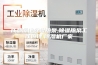 成都泳池除湿热泵,除湿热泵工作原理,除湿机厂家