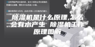 除湿机是什么原理,怎么会有水产生 除湿机工作原理图解