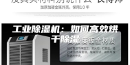 工业除湿机：如何高效烘干除湿