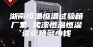湖南恒温恒湿试验箱厂家 烤漆恒温恒湿试验箱多少钱