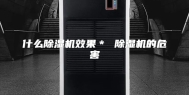 什么除湿机效果＊ 除湿机的危害