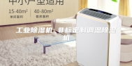 工业除湿机 非标定制调温除湿机