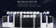 武汉地下室车库除湿机，大型工业除湿机