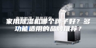 家用除湿机哪个牌子好？多功能适用的品牌推荐？