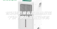 智烘牌低噪音高温热泵莲子烘干房除湿机效率高