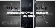 除湿机能净化空气吗 除湿机要一直开着吗
