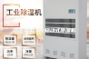 河南大型工业移动式除湿机