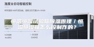 恒温恒湿试验箱除湿原理／恒温恒湿箱怎么控制作的？
