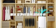 重庆发条恒温恒湿储存柜