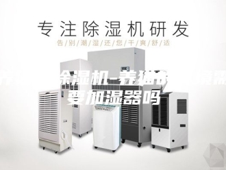 常见问题养猫买除湿机-养猫的环境需要加湿器吗