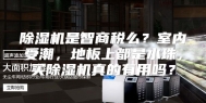 除湿机是智商税么？室内受潮，地板上都是水珠，买除湿机真的有用吗？