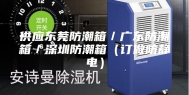 供应东莞防潮箱／广东防潮箱／深圳防潮箱（订做防静电）