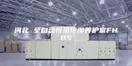 河北 全自动恒温恒湿养护室FHBS