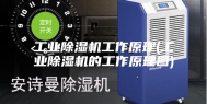 工业除湿机工作原理(工业除湿机的工作原理图)