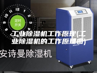 行业新闻工业除湿机工作原理(工业除湿机的工作原理图)