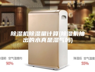 企业新闻除湿机除湿量计算(除湿机抽出的水真是湿气吗)