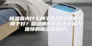 除湿国内什么牌子好(除湿机哪个牌子好？盘点那些专业人士极力推荐的除湿机品牌)