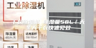 干衣除湿机 除湿量58L／天冬天干衣快速见效