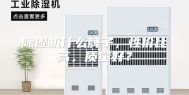 除湿机什么牌子，性价比高，质量好？