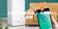 上海工业除湿机｜上海除湿机
