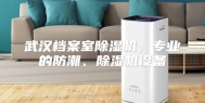 武汉档案室除湿机，专业的防潮、除湿机设备