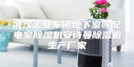 武汉工业车间地下室等配电室除湿机安诗曼除湿机生产厂家