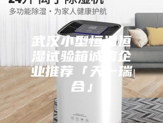 常见问题武汉小型恒温恒湿试验箱诚信企业推荐「天一瑞合」
