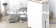 恒温恒湿培养箱常见的三个故障原因分析