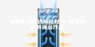 除湿机怎样选择比较好 除湿机都有哪些作用
