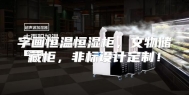字画恒温恒湿柜，文物储藏柜，非标设计定制！