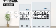 鄂州恒湿机6Y实验室档案机房除湿加湿一体机